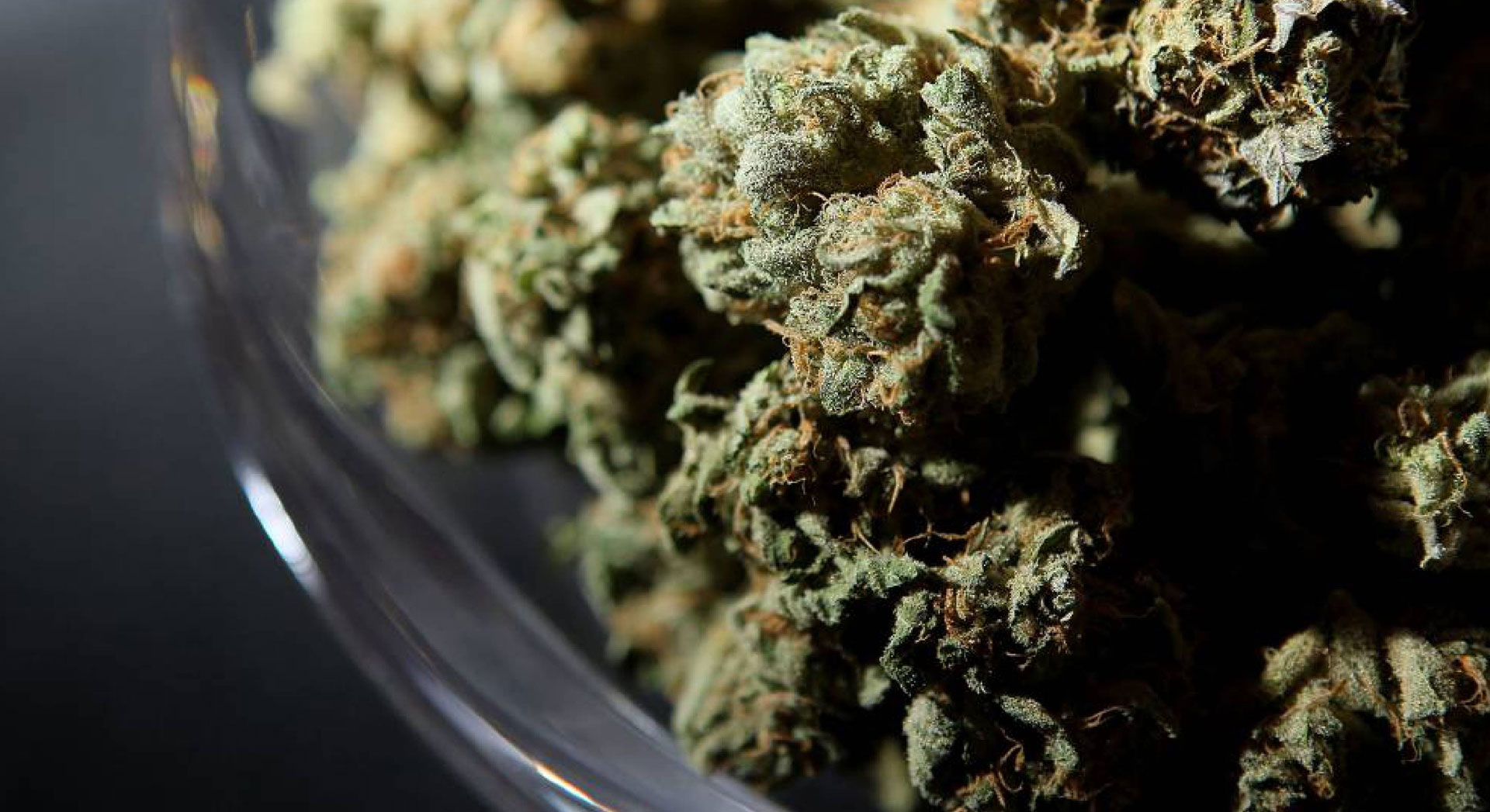 7 Reasons Medical Marijuana Is The Cure We’ve Been Searching For